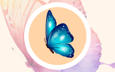 Papillon – Niv III